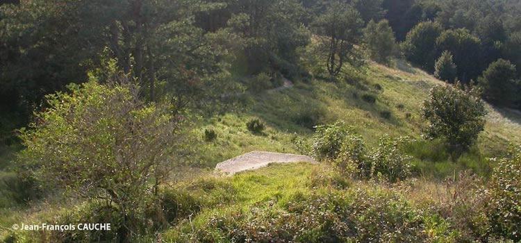 Camping Le Cote D'Opale Cucq Extérieur photo